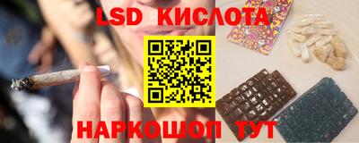 гашик Донской