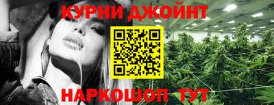 гашик Донской