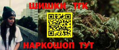 гашик Донской