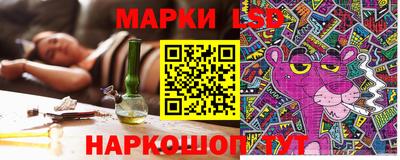гашик Донской