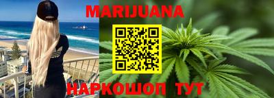 гашик Донской
