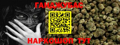 Альфа ПВП Дубна