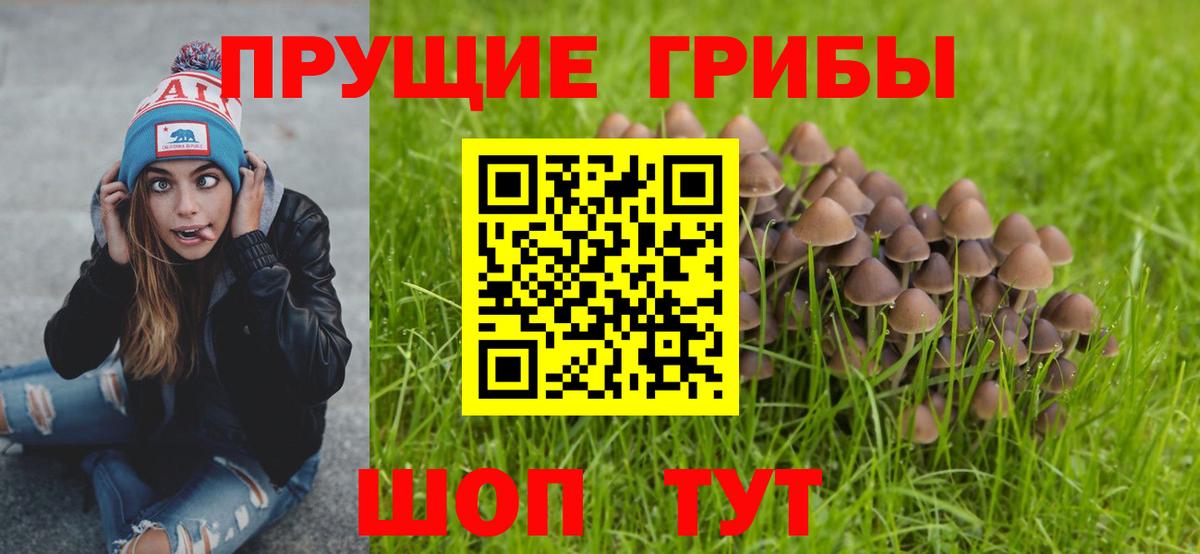 Нижний Тагил  Псилоцибиновые грибы Psilocybe  Вход с VPN 